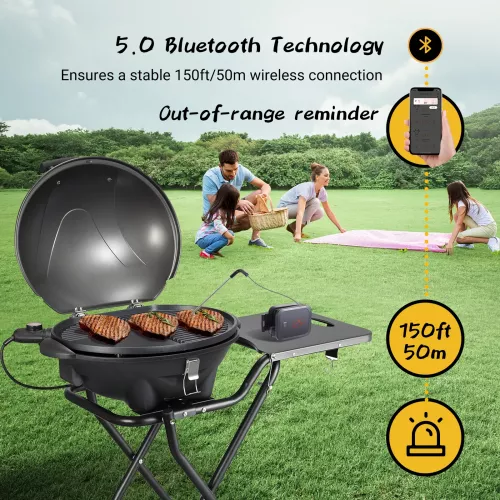 Inkbird BBQ Thermometer Inkbird IBT-2X Thermometer met LCD en Bluetooth (IBT-2X)