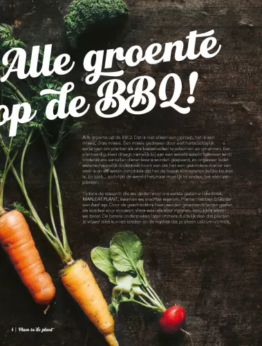 Kosmos Vlam in de plant De lekkerste vega(n) recepten voor op de BBQ (11873)