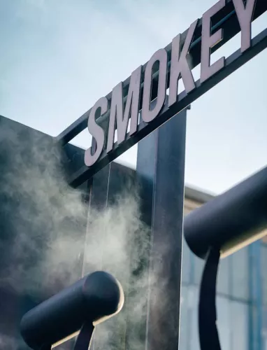 Smokey Goodness Smokey Goodness Het ultieme BBQ boek (9789021562292)