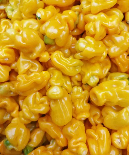 Tomasu Soy Sauce Limited Tomasu Sweet Spicy Soy - Madame Jeanette (12272)